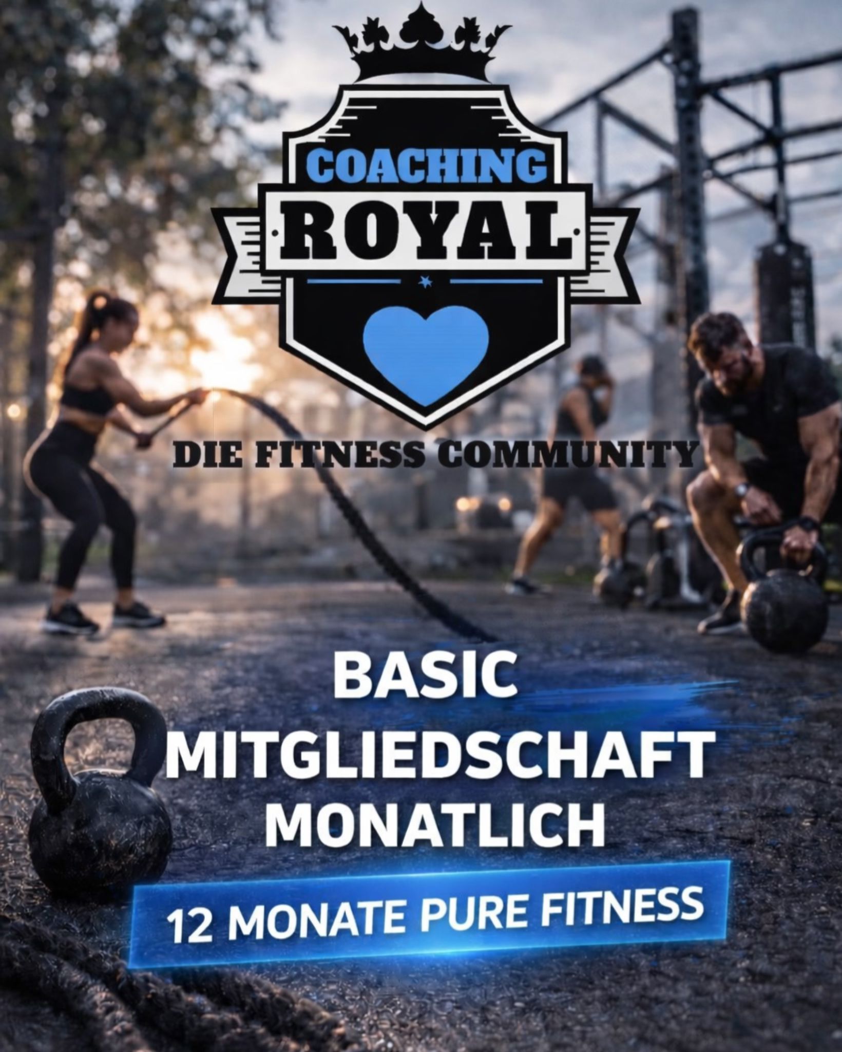 Community full Basic 12M